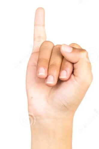 Toilet Gesture