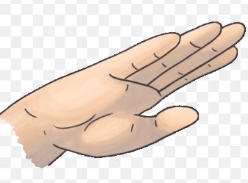 saluate Gesture