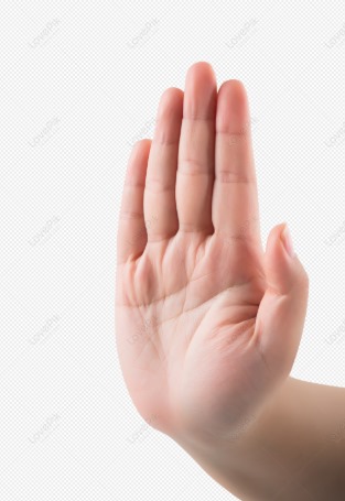 stop Gesture