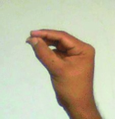 tiny Gesture